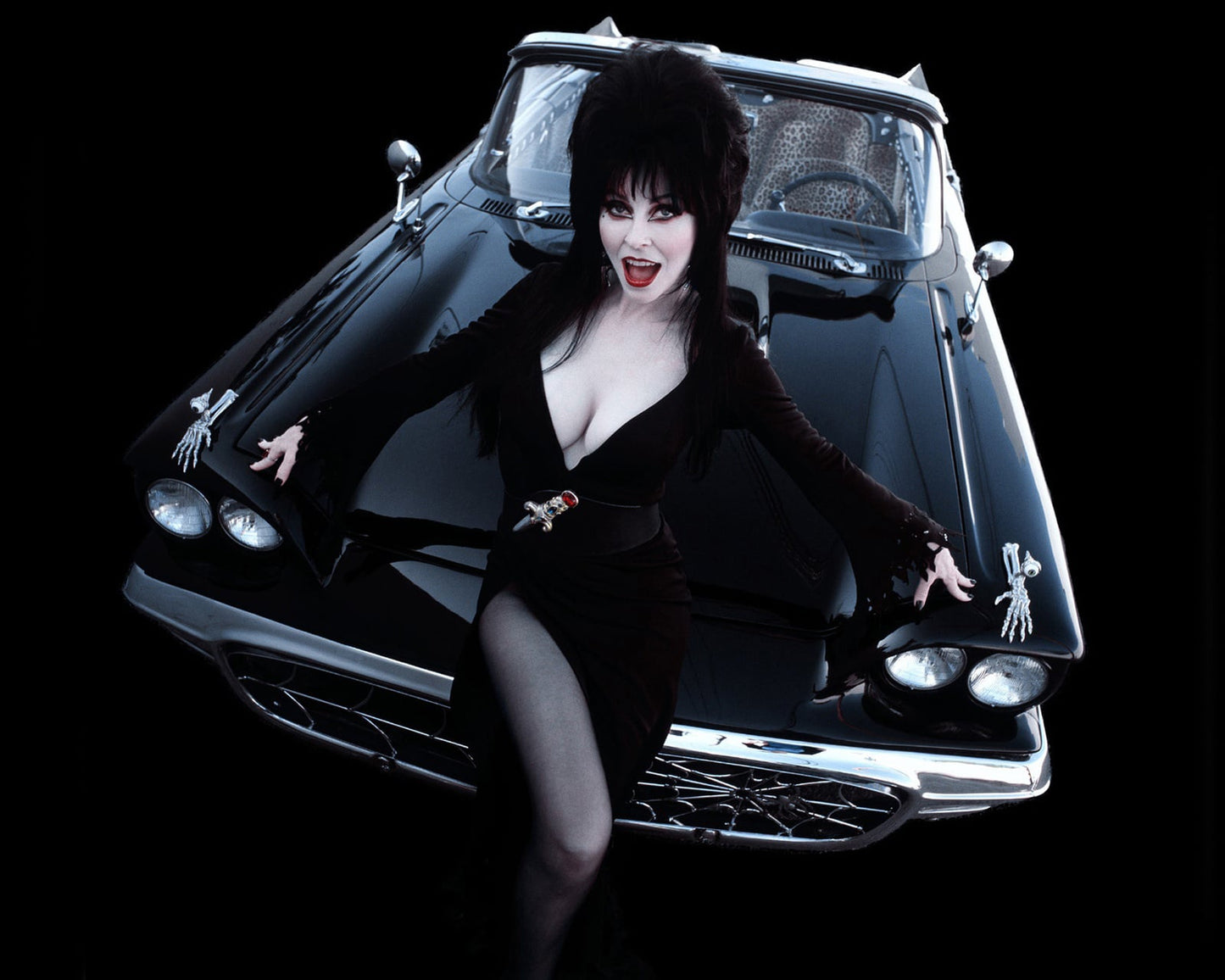 Signature Services - Cassandra Peterson (Elvira) Autographed Photo C
