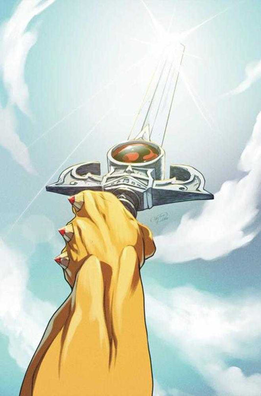 Thundercats #25 Cover H 1:10 Emilio Pilliu Full Art Variant