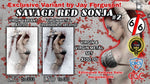 SAVAGE RED SONJA #2 WITH COVER ART BY JAY FERGUSSON!