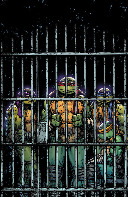 Teenage Mutant Ninja Turtles #11 1:10 (Eastman Full Art)
