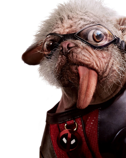 Peggy A.K.A. Dogpool