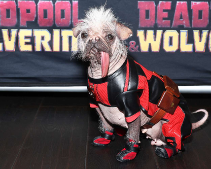 Peggy A.K.A. Dogpool