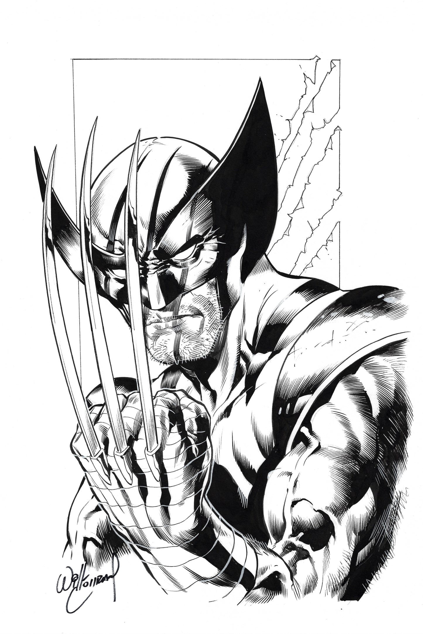 Wolverine [Commission] (Will Conrad)