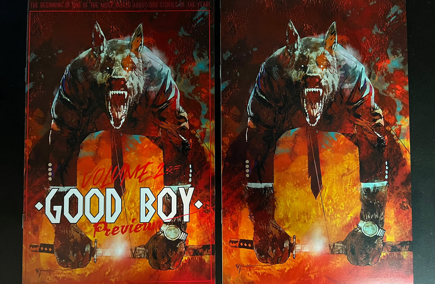Good Boy Volume 2 Preview Ashcan Whatnot Exclusive Bill Sienkiewicz - Trade & Virgin Set